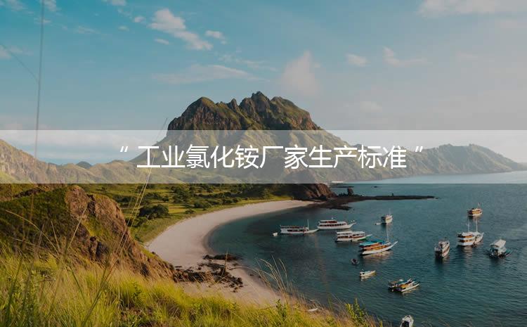 工業(yè)氯化銨廠家生產(chǎn)標(biāo)準(zhǔn)，生產(chǎn)過程進(jìn)行嚴(yán)密的監(jiān)控！